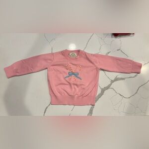 The Beaufort Bonnet Company Pink Candy Cane Sweater 18-25 months